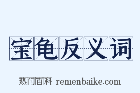 宝龟反义词是什么意思的图片